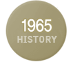 1965³â